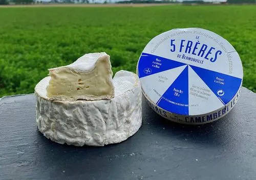 Camembert